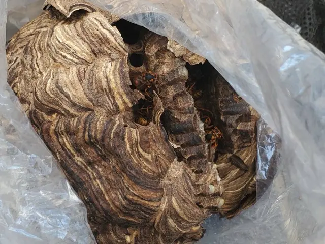 【当日対応×365日対応！1000件以上の実績と安心の6ヶ月保証※再発無料駆除】サービスの画像