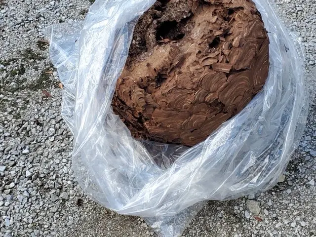 【当日対応×365日対応！1000件以上の実績と安心の6ヶ月保証※再発無料駆除】サービスの画像