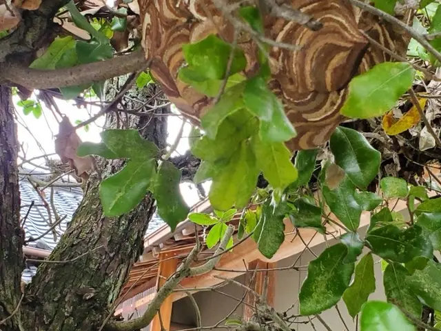 【当日対応×365日対応！1000件以上の実績と安心の6ヶ月保証※再発無料駆除】サービスの画像