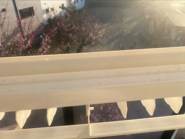 【修理屋さんがクリーニング◎】大手経験の店長が訪問！外注なし・損保加入で安心◎サービスの画像