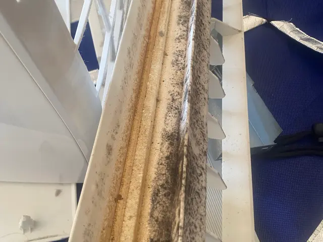 【修理屋さんがクリーニング◎】大手経験の店長が訪問！外注なし・損保加入で安心◎サービスの画像