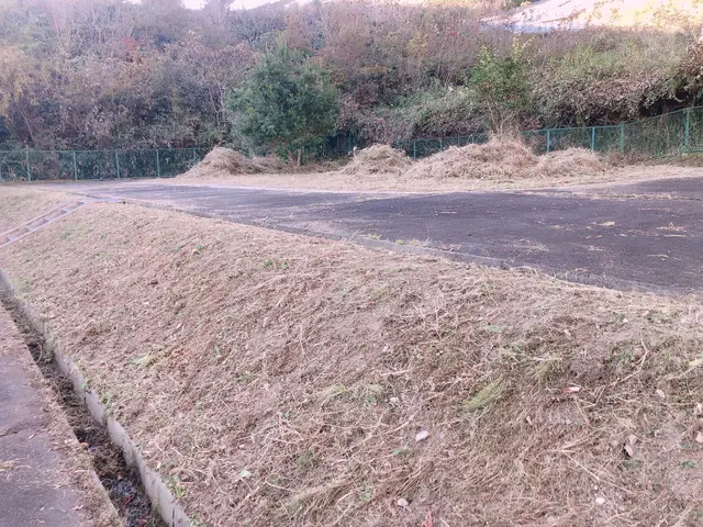 草刈り機、手作業なんでもやりますサービスの画像