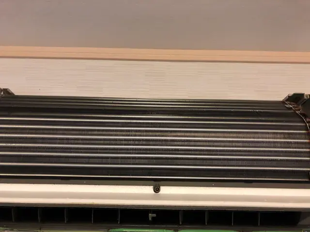 カビ、臭い取り対策の専門店サービスの画像