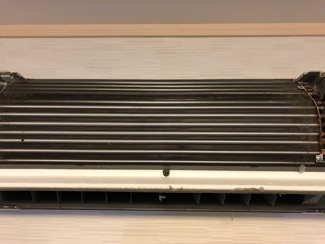 カビ、臭い取り対策の専門店サービスの画像