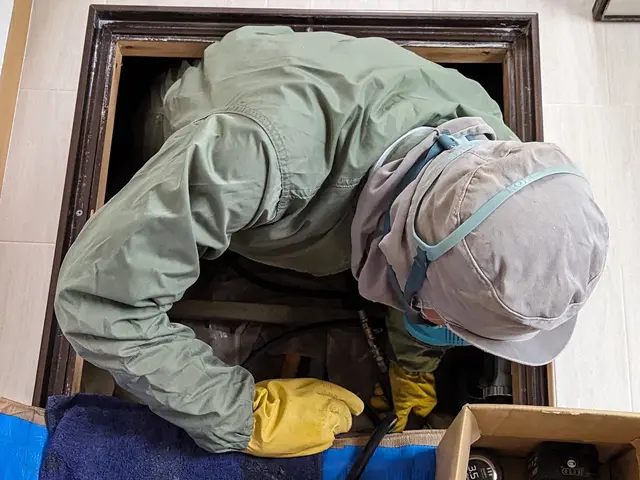 ★お寺でも使用する安全薬剤★再発率０％★白蟻防除資格有★５年損害保証付★クレカ可サービスの画像