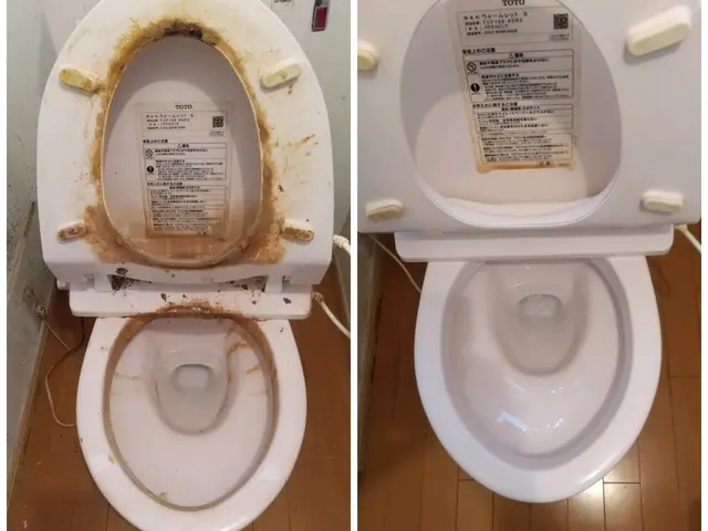 トイレクリーニングサービスの画像