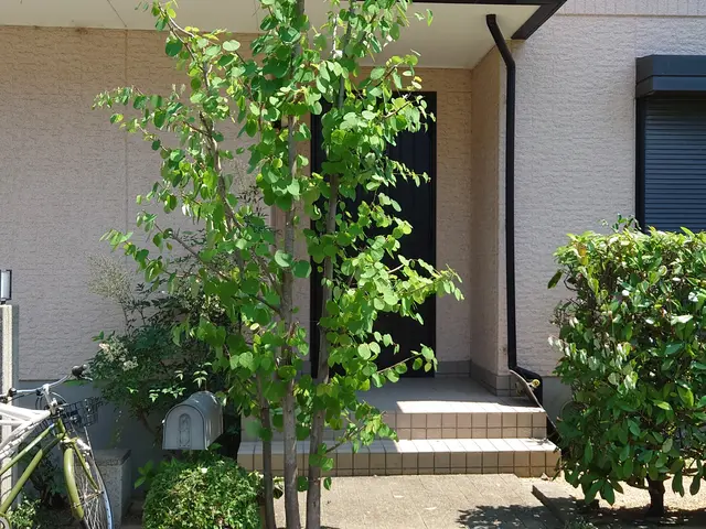 造園施工管理サービスの画像