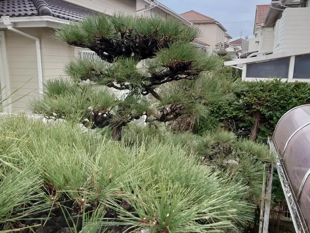 造園施工管理サービスの画像