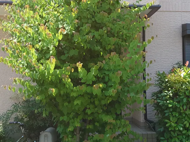 造園施工管理サービスの画像