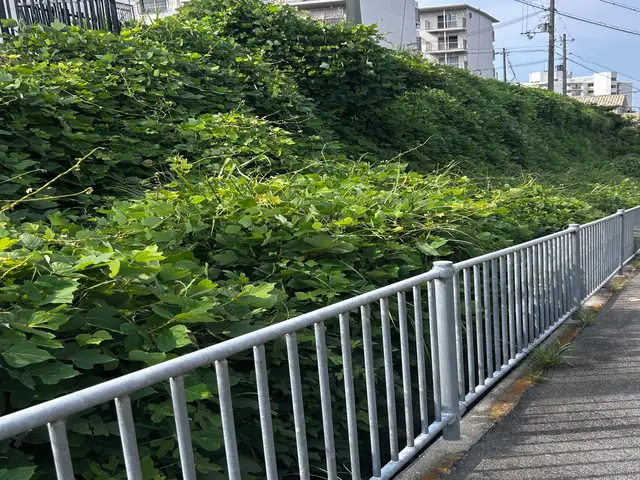 大手での豊富な経験を活かし、お客様一人ひとりのご要望に寄り添った丁寧な対応サービスの画像