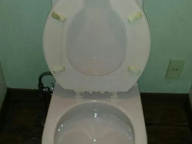 トイレクリーニング9,900円、浴室とセットの場合は8,800円になります！サービスの画像