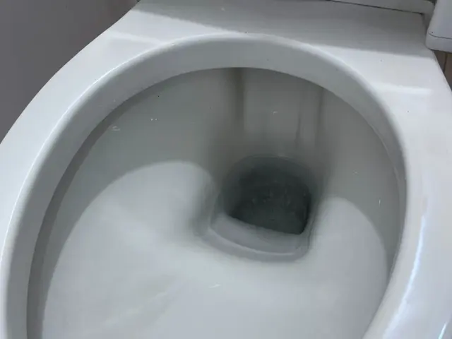 トイレの神様を呼び寄せるツルピカ仕上げ！サービスの画像