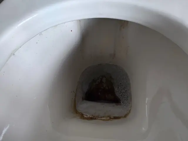 トイレの神様を呼び寄せるツルピカ仕上げ！サービスの画像