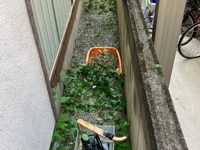 お家回りの草むしり！お庭の草むしりなどお任せください！5日6日可、日曜日不可サービスの画像