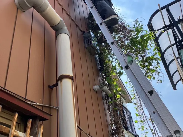 お家回りの草むしり！お庭の草むしりなどお任せください！5日6日可、日曜日不可サービスの画像