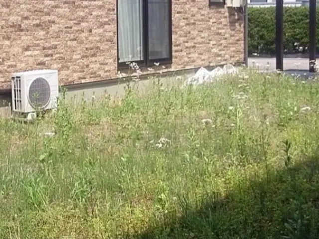 【三重県発】砂利敷き ご予算やお庭との調和 防犯 なと 臨機応変に対応します。サービスの画像