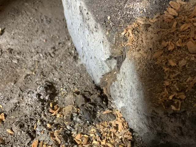 【日本しろあり対策協会正会員】島根県松江市発！シロアリ駆除ならハウスキーパーへ！サービスの画像