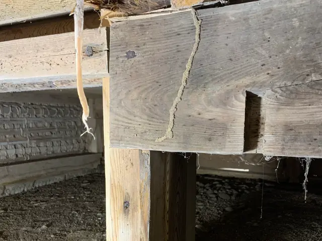 【日本しろあり対策協会正会員】島根県松江市発！シロアリ駆除ならハウスキーパーへ！サービスの画像