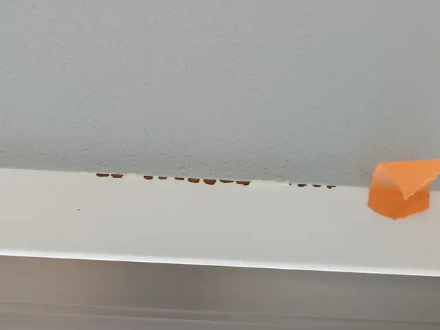 お客様への丁寧な対応で安心！プロの技術で美しく仕上げる専門補修サービスサービスの画像