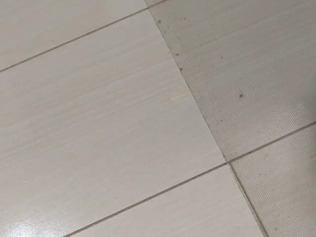 お客様への丁寧な対応で安心！プロの技術で美しく仕上げる専門補修サービスサービスの画像