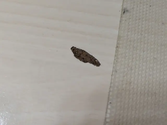 お客様への丁寧な対応で安心！プロの技術で美しく仕上げる専門補修サービスサービスの画像