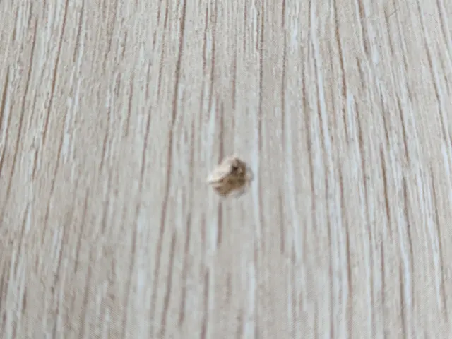 お客様への丁寧な対応で安心！プロの技術で美しく仕上げる専門補修サービスサービスの画像