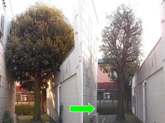 ★お庭の悩みお任せ下さい。１級造園技能士がご要望にお応えします！サービスの画像