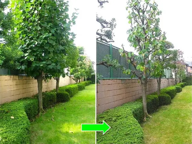 ★お庭の悩みお任せ下さい。１級造園技能士がご要望にお応えします！サービスの画像