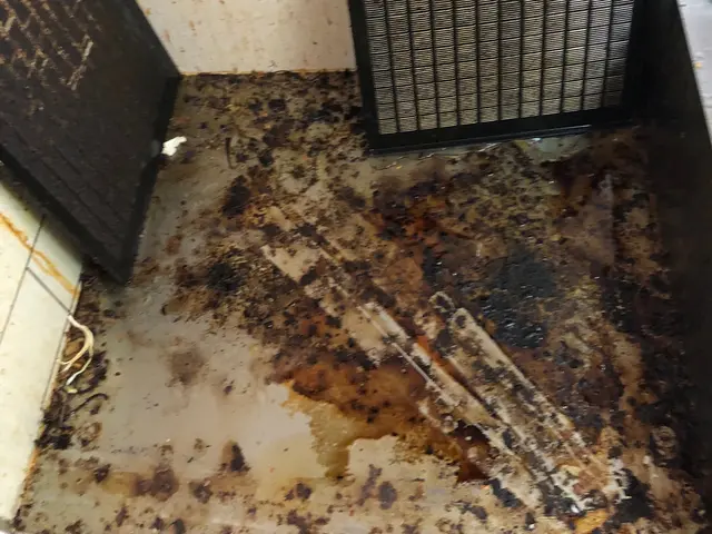 2000件の実績と確かな技術！隅々まで徹底的に美しく、大手企業も認める信頼の清掃サービスの画像