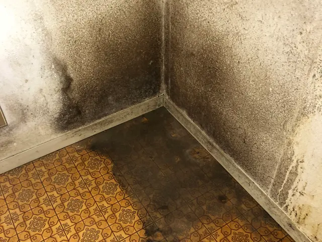 壁紙の汚れは取れそうで取りにくい。お任せください。サービスの画像