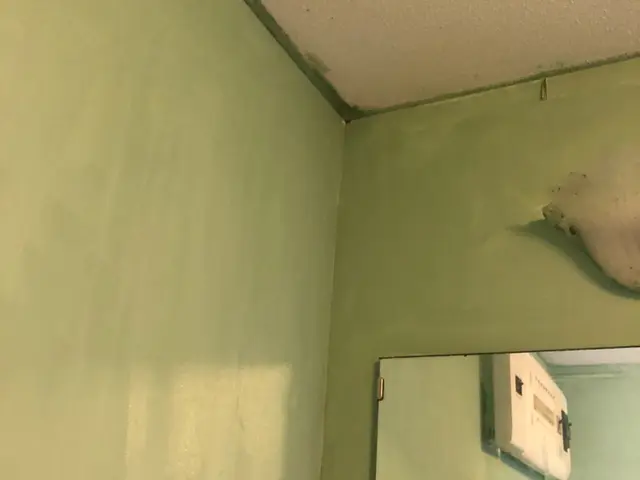 壁紙の汚れは取れそうで取りにくい。お任せください。サービスの画像