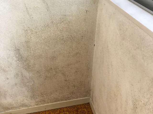 壁紙の汚れは取れそうで取りにくい。お任せください。サービスの画像