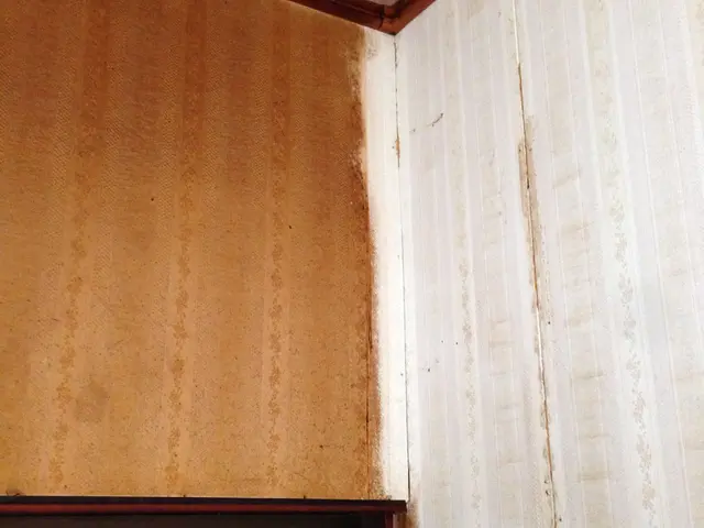 壁紙の汚れは取れそうで取りにくい。お任せください。サービスの画像