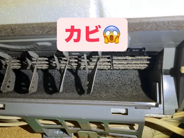 人気のエアコンクリーニング！エアコン内部の汚れも徹底的に洗浄いたします！サービスの画像