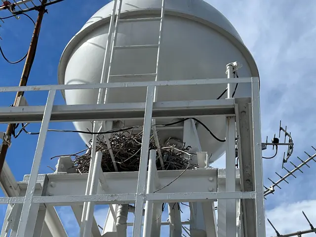 【メッセージでお見積りいたします！！】集合住宅、ベランダ、室外機裏まで実績多数！サービスの画像