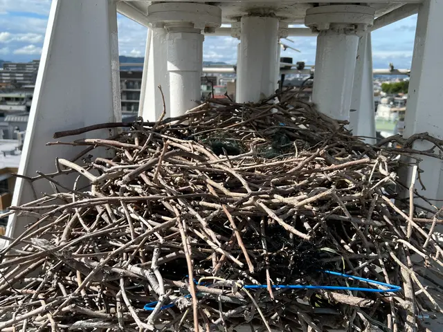 【メッセージでお見積りいたします！！】集合住宅、ベランダ、室外機裏まで実績多数！サービスの画像