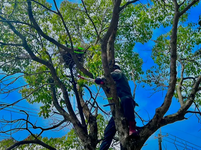 【メッセージでお見積りいたします！！】集合住宅、ベランダ、室外機裏まで実績多数！サービスの画像
