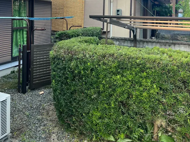 外注一切無★損害保険加入済★駐車場代店負担サービスの画像