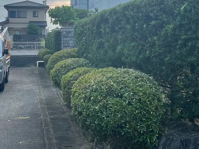 外注一切無★損害保険加入済★駐車場代店負担サービスの画像