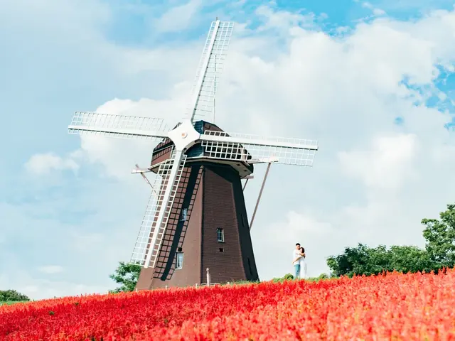 [公式]プロの一枚を、あなたの特別な瞬間へ-かけがえのない大切な時間を形にしますサービスの画像