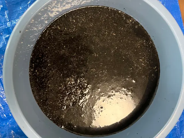 お掃除機能付きもおまかせ！！クレカ、QR決済対サービスの画像