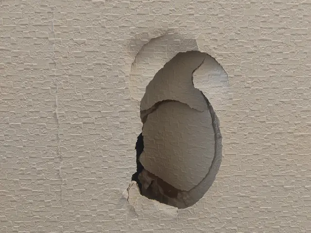 はばタンPay＋・PayPay・楽天Pay・WAON等支払い可能です。サービスの画像