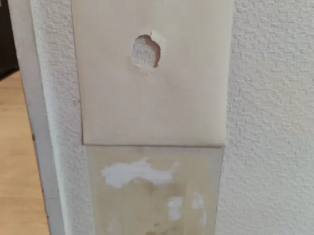 はばタンPay＋・PayPay・楽天Pay・WAON等支払い可能です。サービスの画像