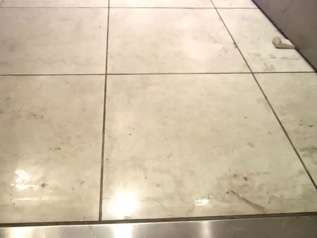 ストーンリフレッシュ（玄関土間）：　清掃＋石材用コーティングサービスの画像