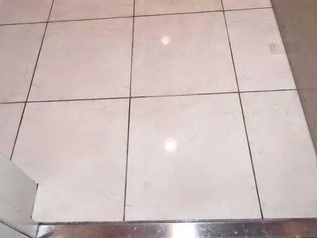 ストーンリフレッシュ（玄関土間）：　清掃＋石材用コーティングサービスの画像