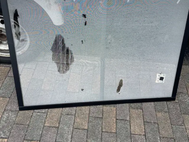 網戸の張替　カードpaypay払い対応サービスの画像