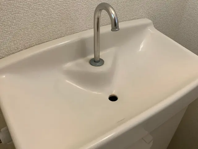 トイレの尿石スッキリ！丁寧な作業でお客様に安心と喜びを提供しております！サービスの画像