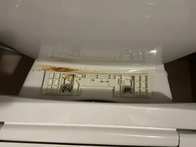 ◇3月は複数ご注文（トイレ+〇〇）で5％オフ◇ハウスクリーニング士資格取得◇サービスの画像