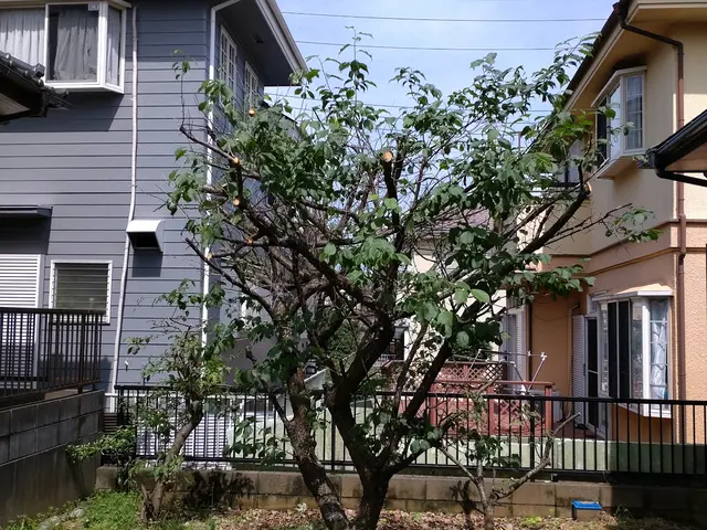 ☆業歴20年　一級造園施工管理技士が対応！【スッキリ•爽やかなお庭にします！】☆サービスの画像