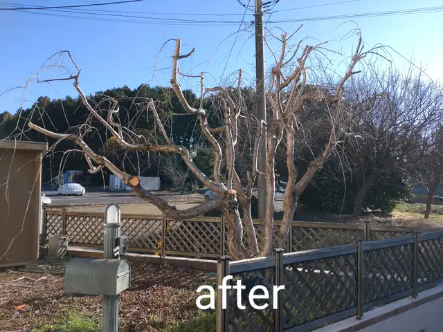 ☆業歴20年　一級造園施工管理技士が対応！【スッキリ•爽やかなお庭にします！】☆サービスの画像